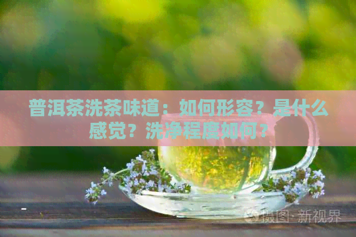 普洱茶洗茶味道：如何形容？是什么感觉？洗净程度如何？