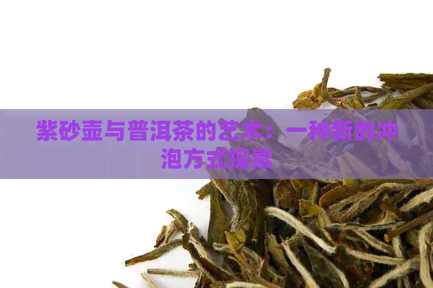 紫砂壶与普洱茶的艺术：一种新的冲泡方式探索