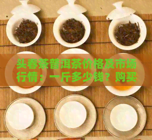 头春茶普洱茶价格及市场行情：一斤多少钱？购买时应注意哪些因素？