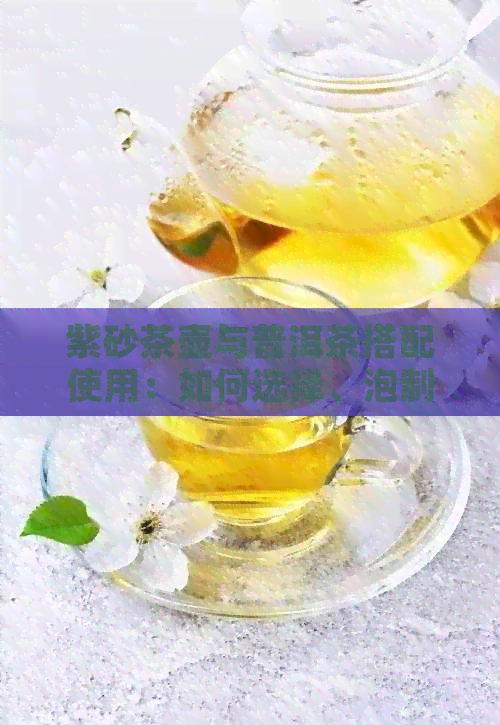 紫砂茶壶与普洱茶搭配使用：如何选择、泡制与品鉴，全方位指南解答