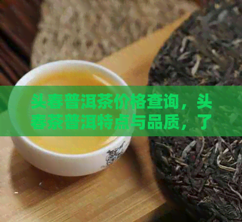 头春普洱茶价格查询，头春茶普洱特点与品质，了解最新市场价