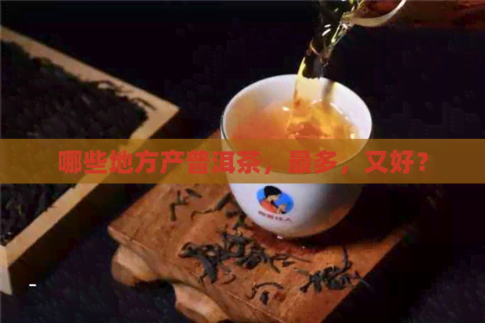 哪些地方产普洱茶，最多，又好？