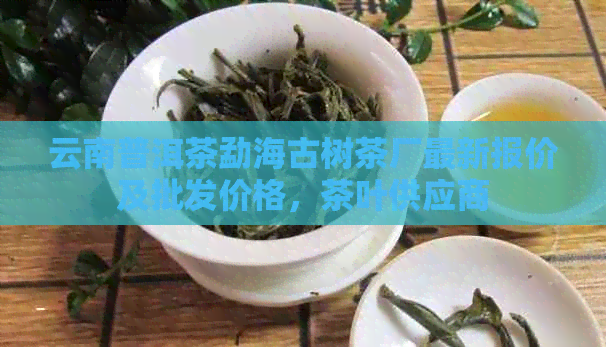 云南普洱茶勐海古树茶厂最新报价及批发价格，茶叶供应商