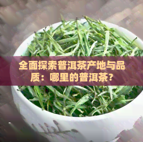 全面探索普洱茶产地与品质：哪里的普洱茶？