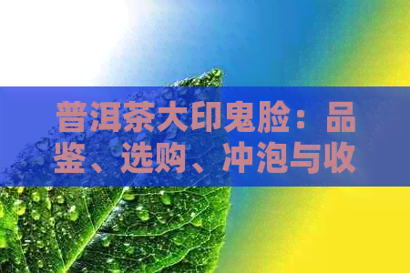 普洱茶大印鬼脸：品鉴、选购、冲泡与收藏全攻略