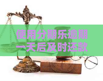 使用逾期一天后及时还款，是否会产生影响？