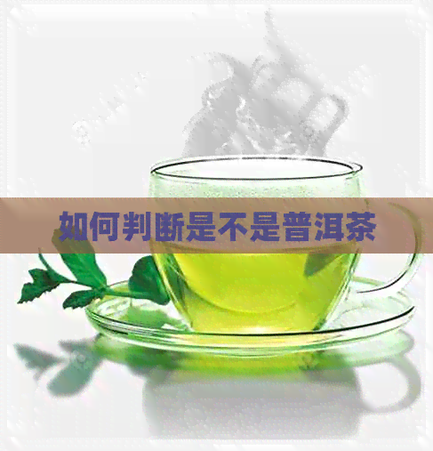 如何判断是不是普洱茶