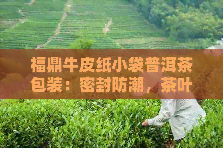 福鼎牛皮纸小袋普洱茶包装：密封防潮，茶叶收纳利器，阿里批发促销价！