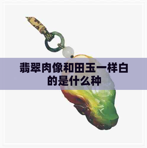 翡翠肉像和田玉一样白的是什么种