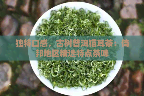 独特口感，古树普洱猫耳茶：倚邦地区精选特点茶味