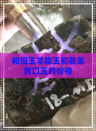 和田玉羊脂玉和若羌黄口玉的价格