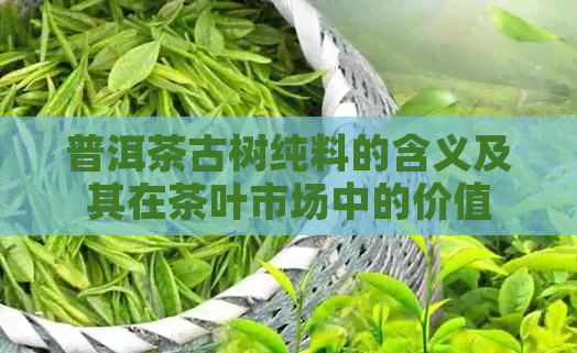 普洱茶古树纯料的含义及其在茶叶市场中的价值
