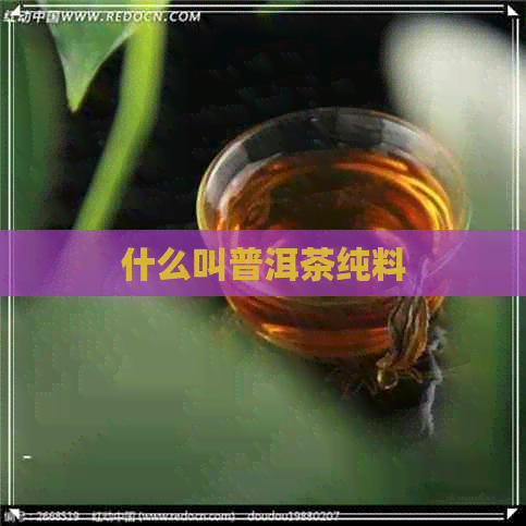 什么叫普洱茶纯料