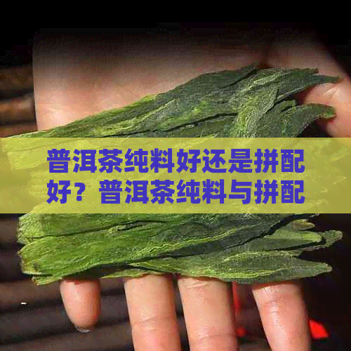 普洱茶纯料好还是拼配好？普洱茶纯料与拼配的特点解析