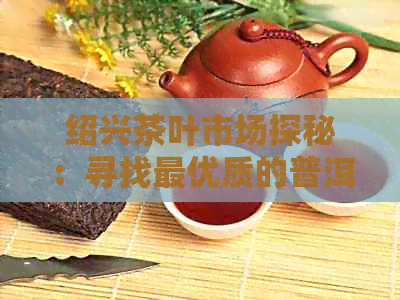 绍兴茶叶市场探秘：寻找更优质的普洱茶之地