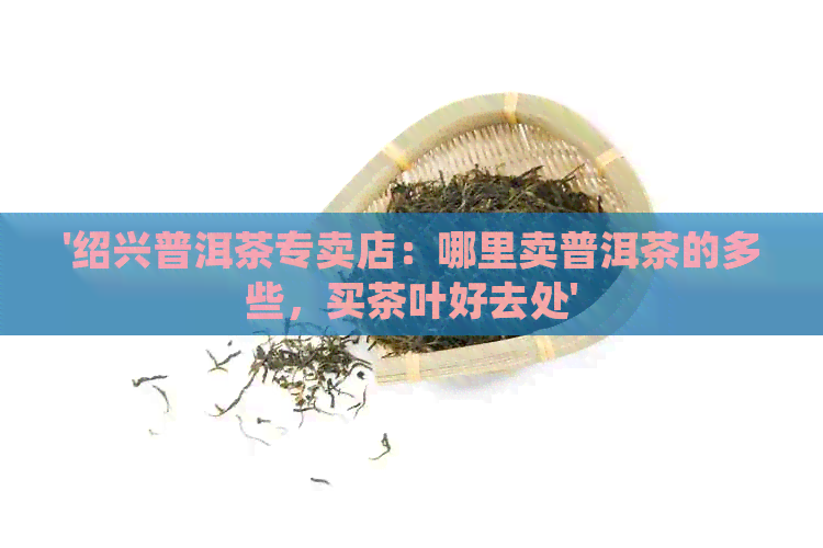 '绍兴普洱茶专卖店：哪里卖普洱茶的多些，买茶叶好去处'