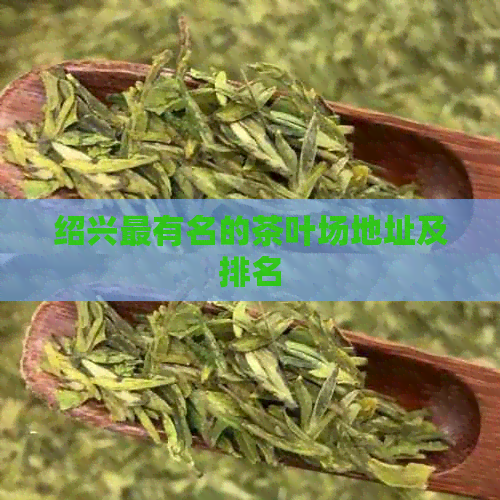 绍兴最有名的茶叶场地址及排名