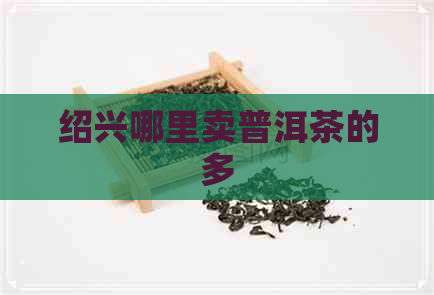 绍兴哪里卖普洱茶的多