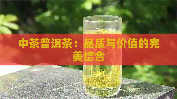 中茶普洱茶：品质与价值的完美结合