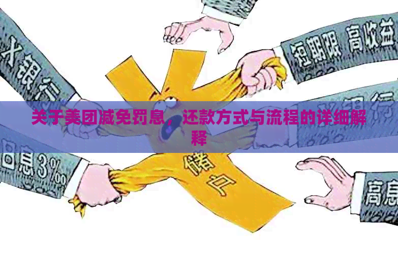 关于美团减免罚息，还款方式与流程的详细解释