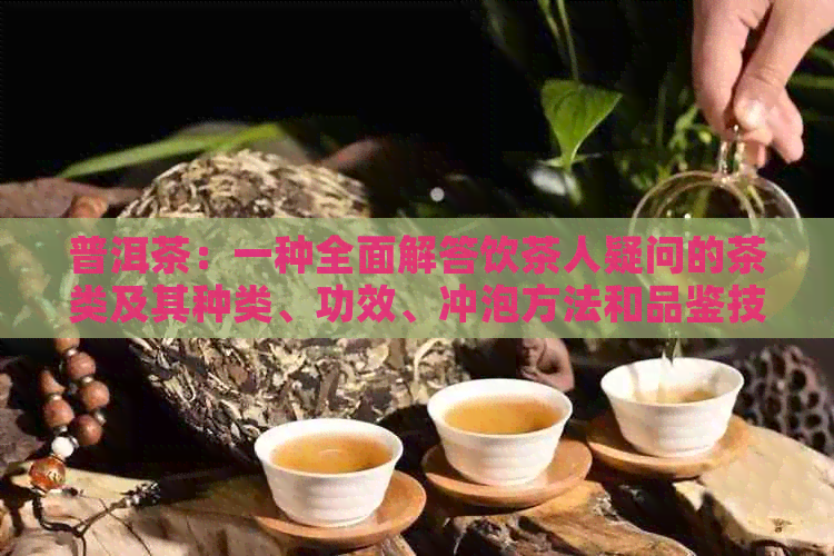 普洱茶：一种全面解答饮茶人疑问的茶类及其种类、功效、冲泡方法和品鉴技巧