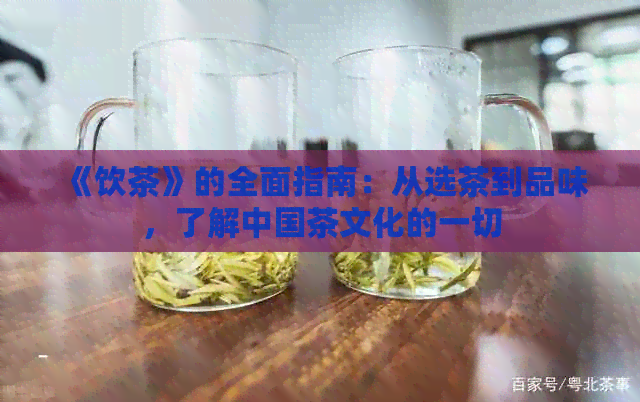 《饮茶》的全面指南：从选茶到品味，了解中国茶文化的一切