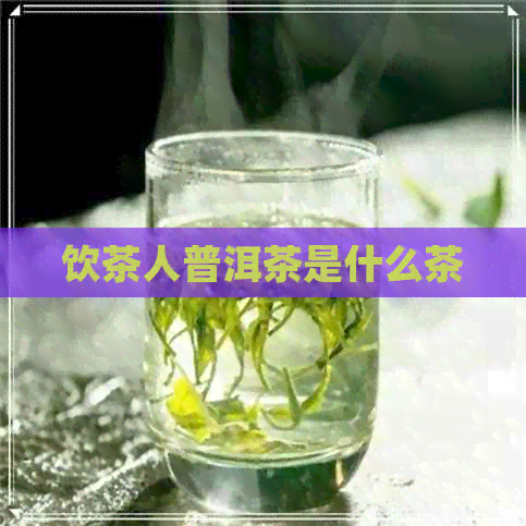 饮茶人普洱茶是什么茶