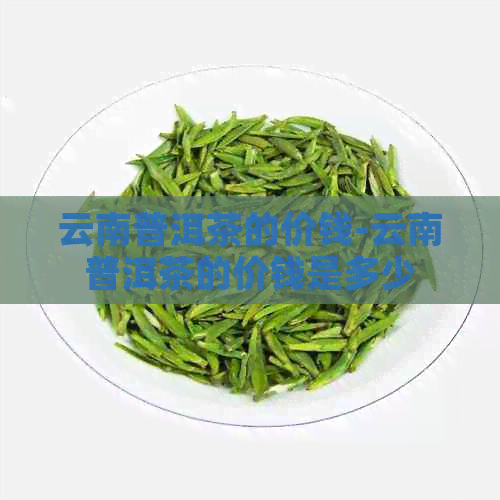 云南普洱茶的价钱-云南普洱茶的价钱是多少