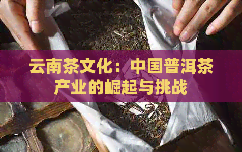 云南茶文化：中国普洱茶产业的崛起与挑战