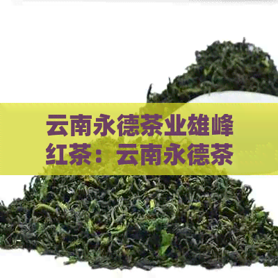 云南永德茶业雄峰红茶：云南永德茶厂雄峰与普洱茶特色解析