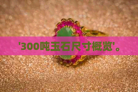 '300吨玉石尺寸概览'。