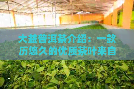 大益普洱茶介绍：一款历悠久的优质茶叶来自哪里？