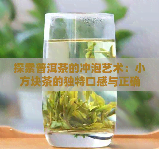 探索普洱茶的冲泡艺术：小方块茶的独特口感与正确冲泡方法