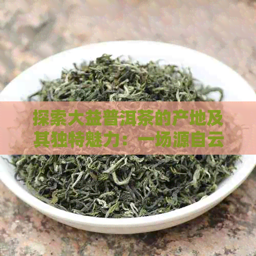 探索大益普洱茶的产地及其独特魅力：一场源自云南的茶文化之旅