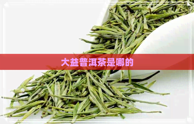 大益普洱茶是哪的