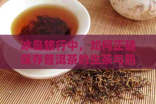 冰岛旅行中，如何正确保存普洱茶的生茶与熟茶方法大全