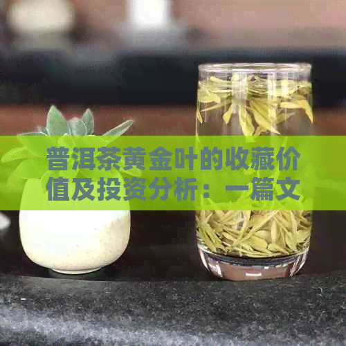 普洱茶黄金叶的收藏价值及投资分析：一篇文章全面解答您的疑虑