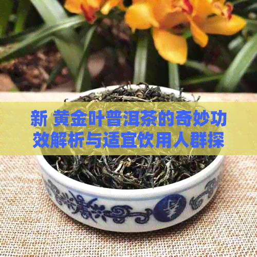 新 黄金叶普洱茶的奇妙功效解析与适宜饮用人群探讨