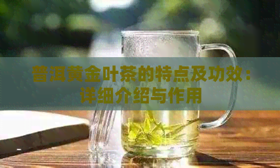 普洱黄金叶茶的特点及功效：详细介绍与作用