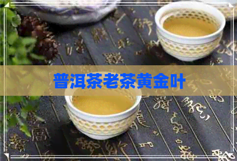 普洱茶老茶黄金叶