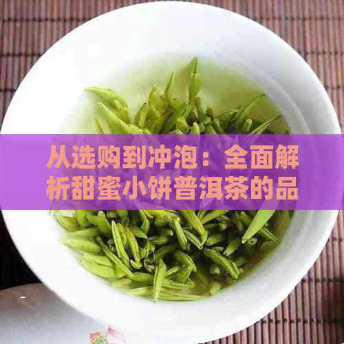 从选购到冲泡：全面解析甜蜜小饼普洱茶的品饮方法与技巧