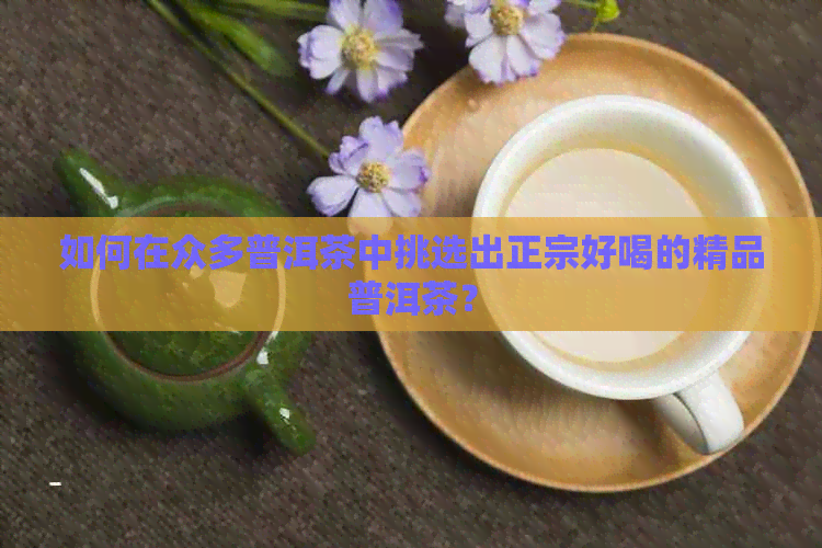 如何在众多普洱茶中挑选出正宗好喝的精品普洱茶？