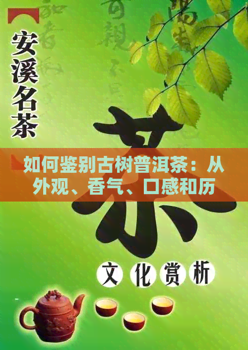 如何鉴别古树普洱茶：从外观、香气、口感和历背景入手