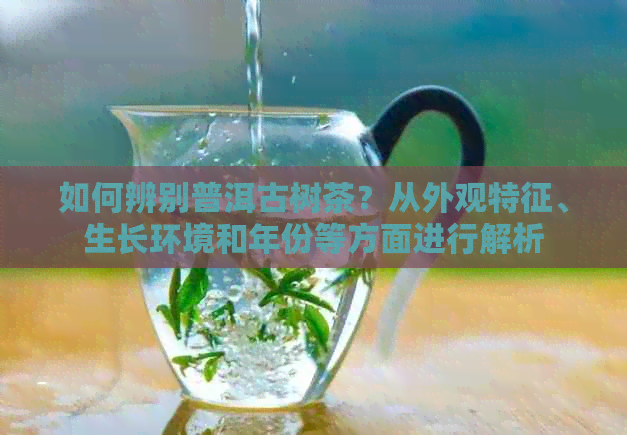 如何辨别普洱古树茶？从外观特征、生长环境和年份等方面进行解析