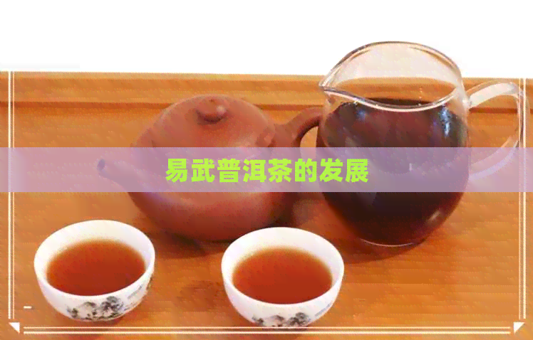 易武普洱茶的发展