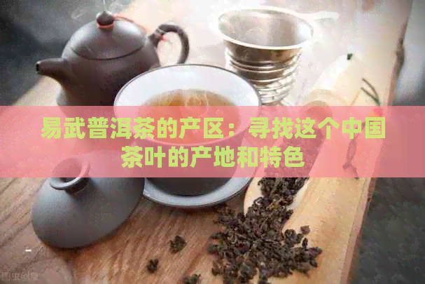 易武普洱茶的产区：寻找这个中国茶叶的产地和特色