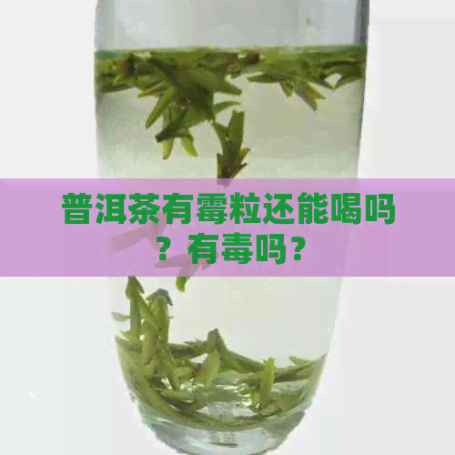 普洱茶有霉粒还能喝吗？有吗？