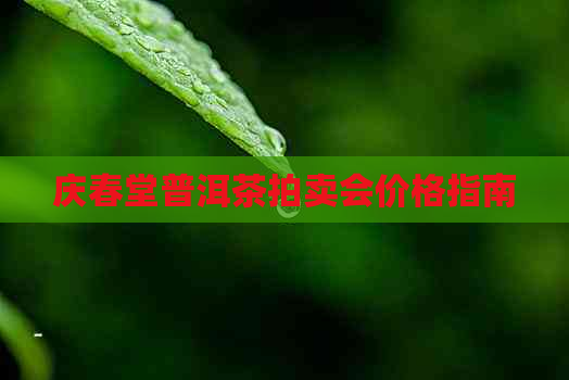 庆春堂普洱茶拍卖会价格指南