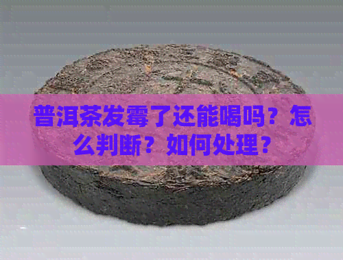 普洱茶发霉了还能喝吗？怎么判断？如何处理？