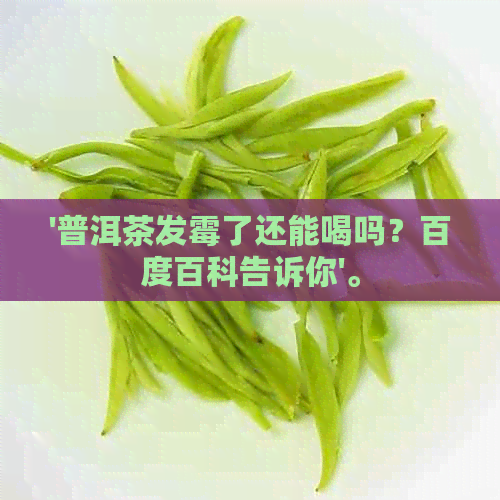 '普洱茶发霉了还能喝吗？百度百科告诉你'。